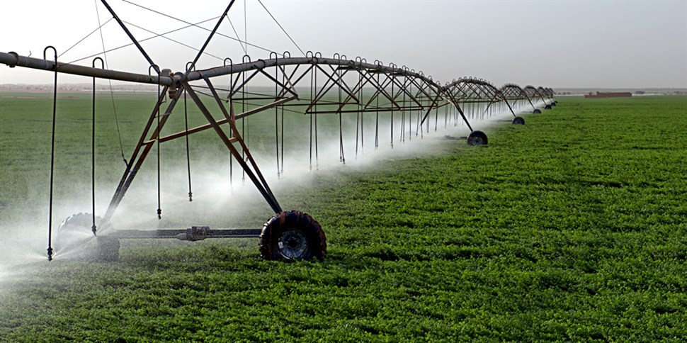 IRRIGATION